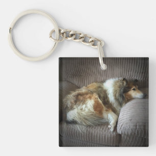 Ruwe collie op een stoel sleutelhanger