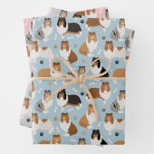 Ruwe Collie Paws en Botten Inpakpapier Vel (In situ)