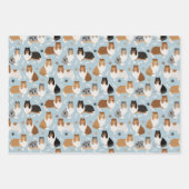 Ruwe Collie Paws en Botten Inpakpapier Vel (Voorkant)