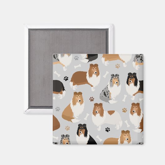 Ruwe Collie Paws en Botten Magnet (Voorkant / Achterkant)