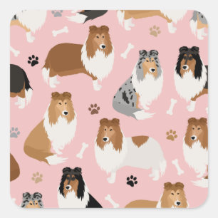 Ruwe collie Paws en Botten Square Sticker