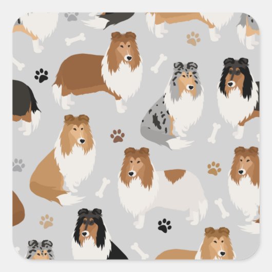 Ruwe collie Paws en Botten Square Sticker (Voorkant)