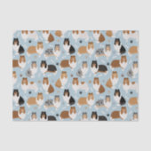 Ruwe Collie Paws en Botten Tissuepapier (Voorkant)