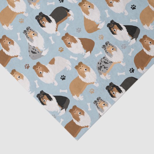 Ruwe Collie Paws en Botten Tissuepapier (Detail)