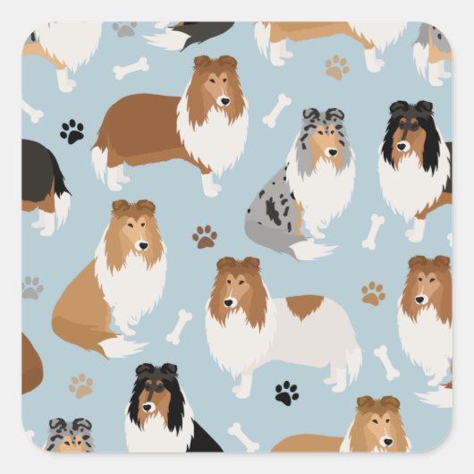 Ruwe Collie Paws en Botten Vierkante Sticker (Voorkant)