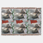 Ruwe Collies ontmoeten Kerstmis Deken (Voorkant)