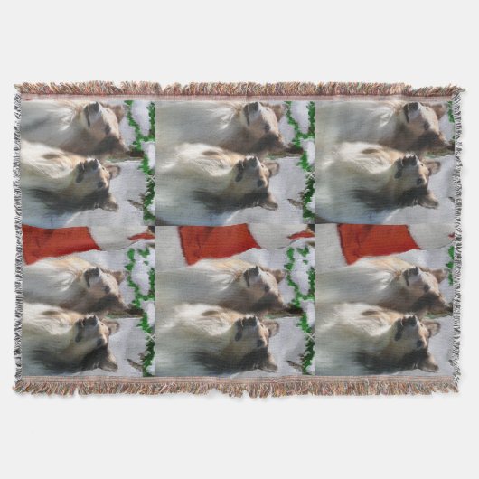 Ruwe Collies ontmoeten Kerstmis Deken (Voorkant)