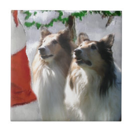 Ruwe Collies ontmoeten Kerstmis Tegeltje