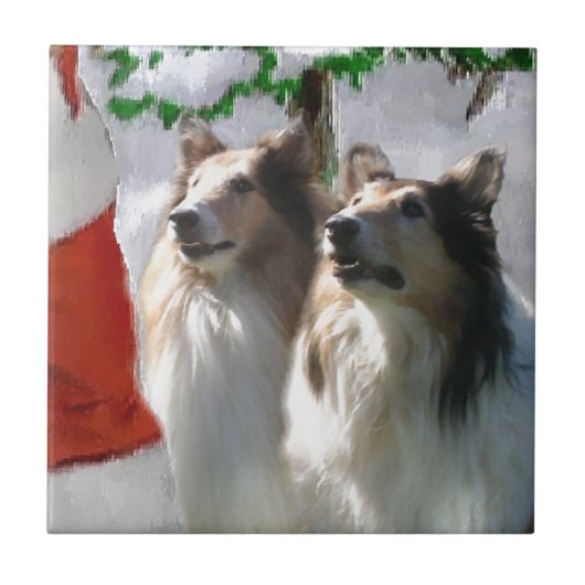 Ruwe Collies ontmoeten Kerstmis Tegeltje (Voorkant)