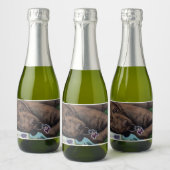 Ruwe Dag Sparkling Wijnetiket (Flessen)