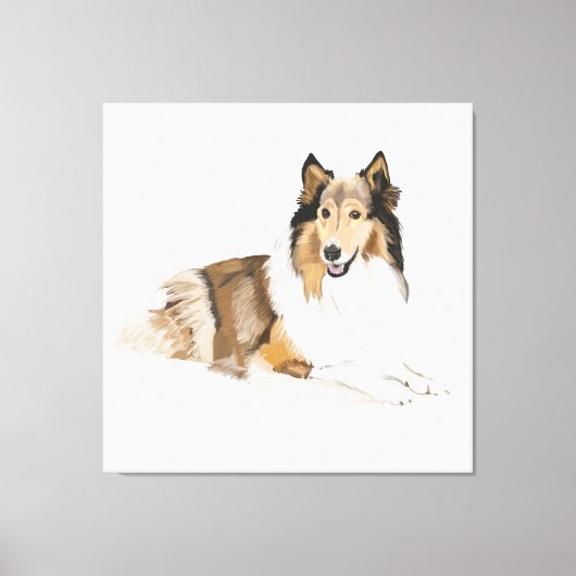Ruwe, Langharige Collie Canvas Afdruk (Voorkant)