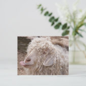 Ruwe Oude Geit Briefkaart (Staand voorkant)