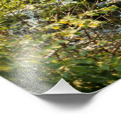 Ruwe sluis Herfsten Spear vis Canyon South Dakota Foto Afdruk (Hoek)