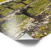 Ruwe wijngaarden, fruitbloesems, steenhuisjes, foto afdruk (Hoek)