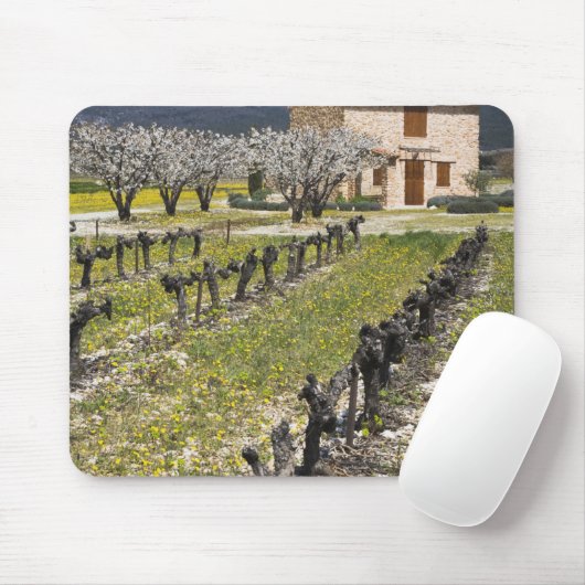 Ruwe wijngaarden, fruitbloesems, steenhuisjes, muismat (Met muis)