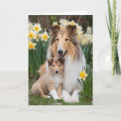 Ruwharige Collie Moeder Moederdag Liefde Kaart (Voorkant)