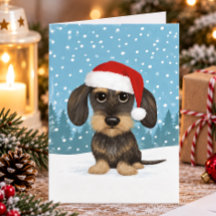 Ruwharige Dachshund Kerstman Teckel Hond Kerstmis