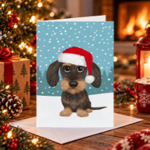 Ruwharige Dachshund Kerstman Teckel Hond Kerstmis