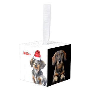 Ruwharige Dachshund Twee Foto Kerstvakantie Decoratie