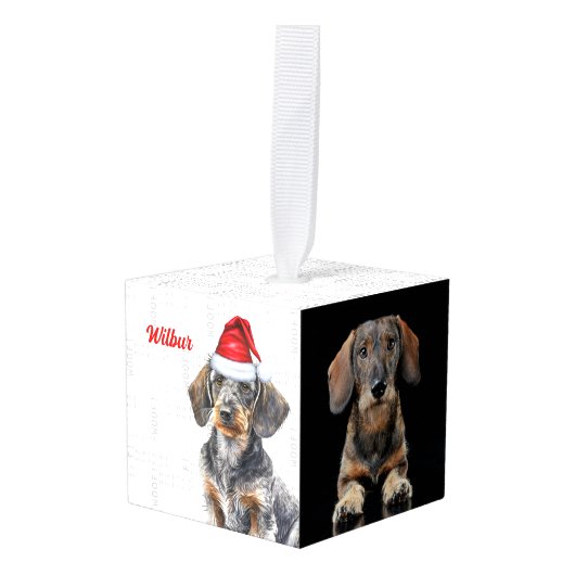 Ruwharige Dachshund Twee Foto Kerstvakantie Decoratie (Voorkant hoekig)