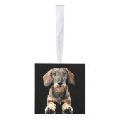 Ruwharige Dachshund Twee Foto Kerstvakantie Decoratie (Rechts)
