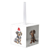Ruwharige Dachshund Twee Foto Kerstvakantie Decoratie (Achter hoekig)