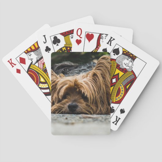 Ruwharige hond die neerligt speelkaarten (Achterkant)