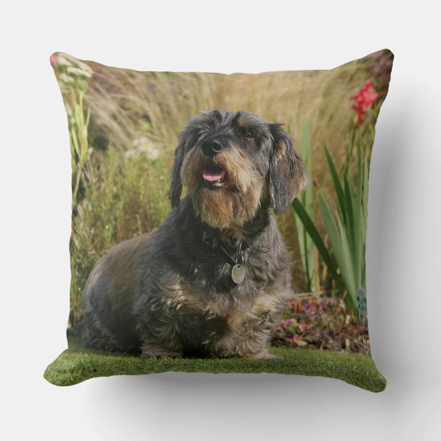 Ruwharige standaard Dachshund Kussen (Voorkant)