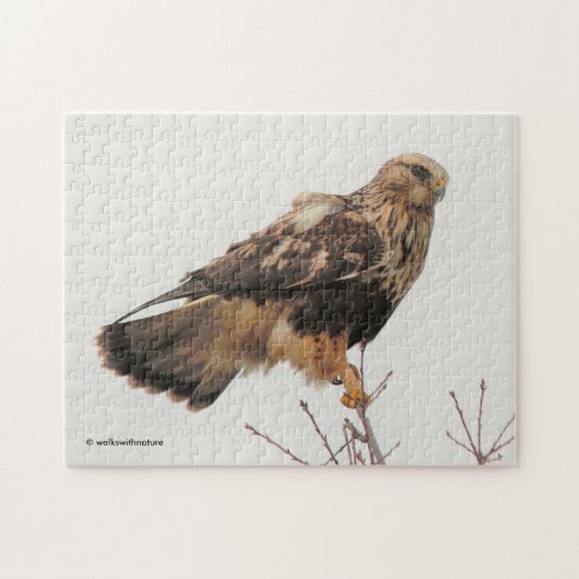 Ruwleggende Hawk in de boom Legpuzzel (Horizontaal)