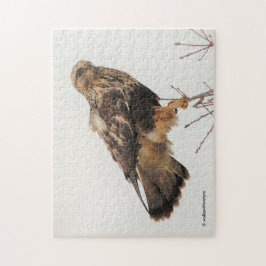 Ruwleggende Hawk in de boom Legpuzzel