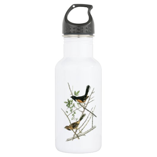Ruwzijdig Towee van Audubon Waterfles (Voorkant)