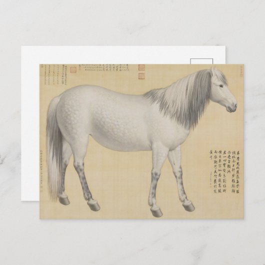 Ruyi Cong ("As-You-Wish" Piebald) Fine Art Briefkaart (Voorkant / Achterkant)