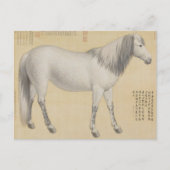 Ruyi Cong ("As-You-Wish" Piebald) Fine Art Briefkaart (Voorkant)
