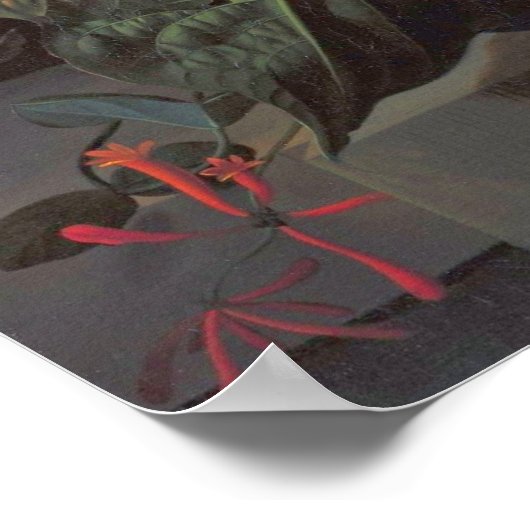 Ruysch - Devil's Trumpet, Cactus, Fig Branch, Hone Poster (Hoek)