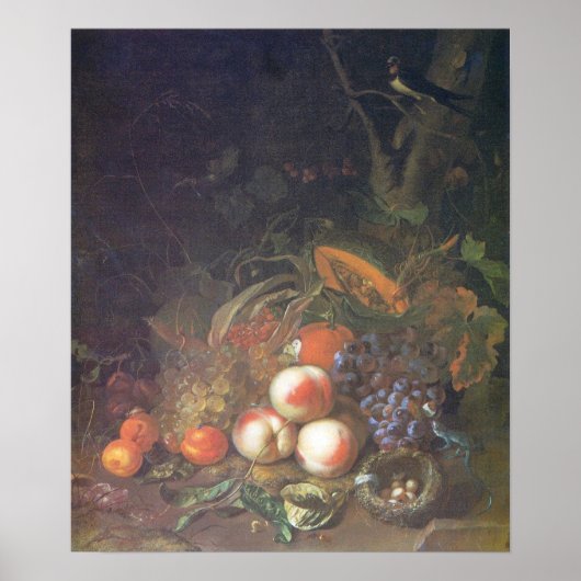 Ruysch - Vruchten, nog steeds leven met een vogeln Poster (Voorkant)