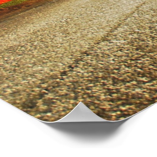 RV Flyby Poster (Hoek)