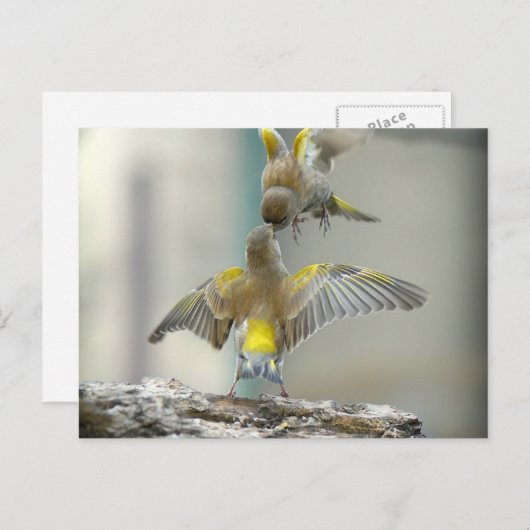 RvE Briefkaart (Voorkant / Achterkant)