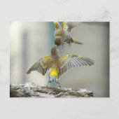 RvE Briefkaart (Voorkant)