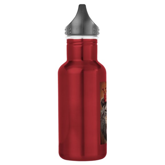 RVS waterfles (Links)