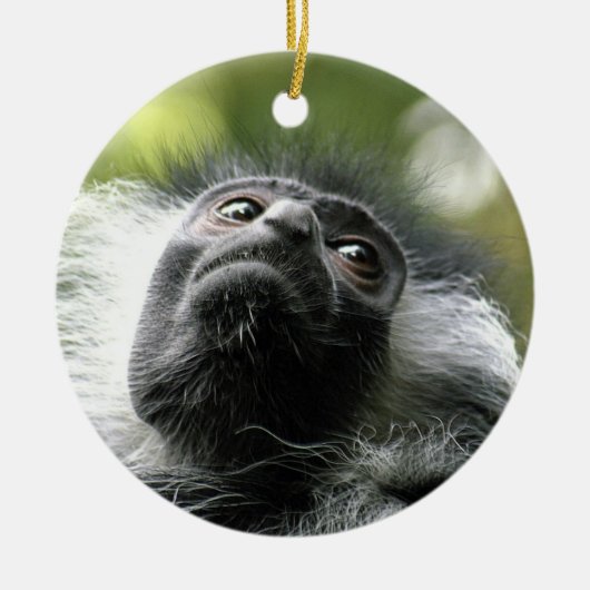 Rwanda Colobus Monkey Ornament (Voorkant)