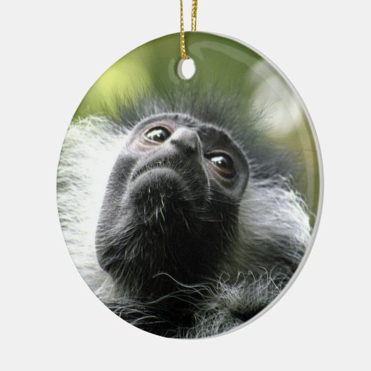 Rwanda Colobus Monkey Ornament (Links)