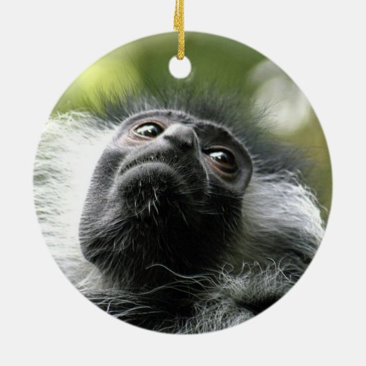 Rwanda Colobus Monkey Ornament (Achterkant)