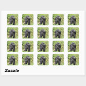 Rwanda Gorilla Safari op Display Stickers (Vel)