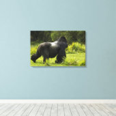 Rwanda, Nationaal park Volcanoes Canvas Afdruk (Insitu (Houten vloer))