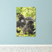 Rwanda, Nationaal Park Volcanoes Canvas Afdruk (Insitu (Houten vloer))