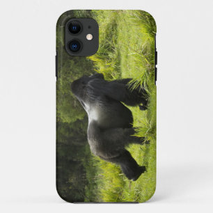 Rwanda, Nationaal park Volcanoes iPhone 11 Hoesje