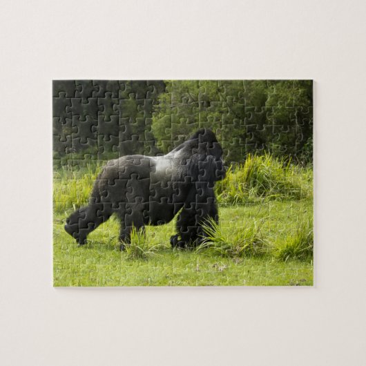 Rwanda, Nationaal park Volcanoes Legpuzzel (Horizontaal)