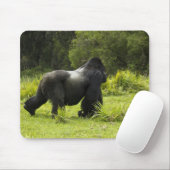 Rwanda, Nationaal park Volcanoes Muismat (Met muis)