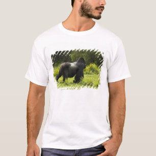 Rwanda, Nationaal Park Volcanoes T-shirt