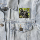 Rwanda, Nationaal Park Volcanoes Vierkante Button 5,1 Cm (In situ)